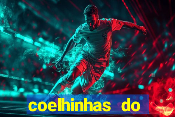 coelhinhas do brasil acompanhantes